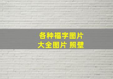 各种福字图片大全图片 照壁